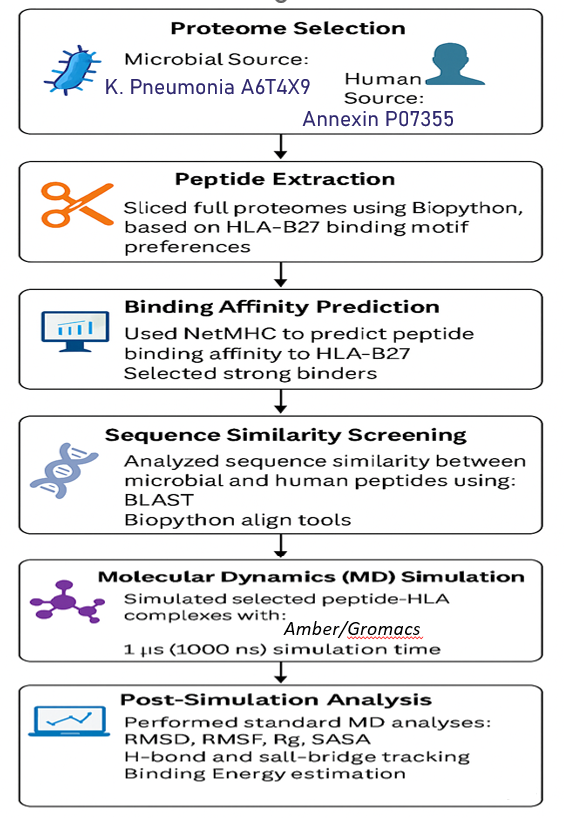 Overview of the workflow used in this study